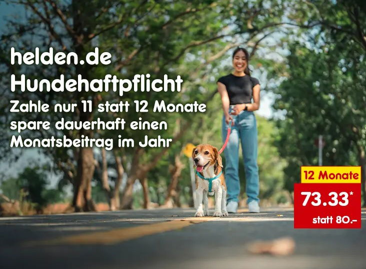 mit 50 Millionen € Versicherungsschutz