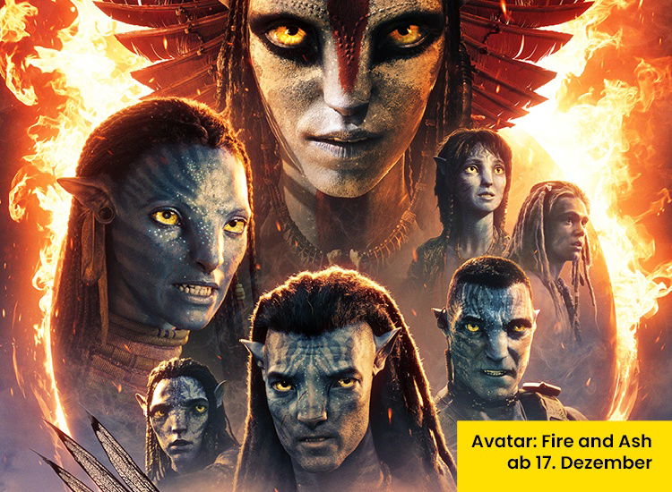 CIN 80 25 Bildmaterial Netto Erwachsene Avatar