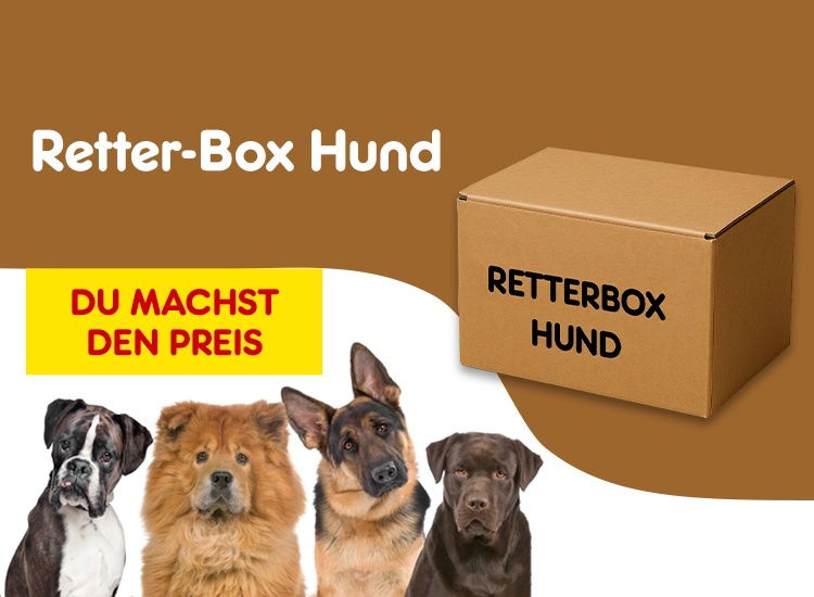 Retter-Box Hund