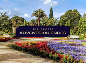 Adventskalender 2025 Hotel Bad Pyrmonter Hof Kachel Kopie