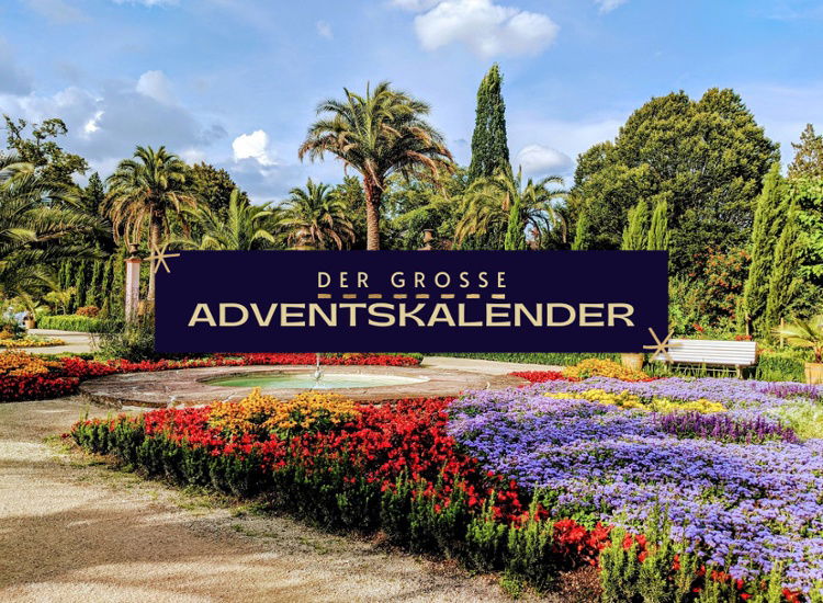 Palmen & Wellness in Bad Pyrmont inkl. Therme | ADVENTS-SPECIAL