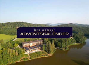NEU2 Adventskalender 2025 Das Dreiburgensee Kachel Kopie