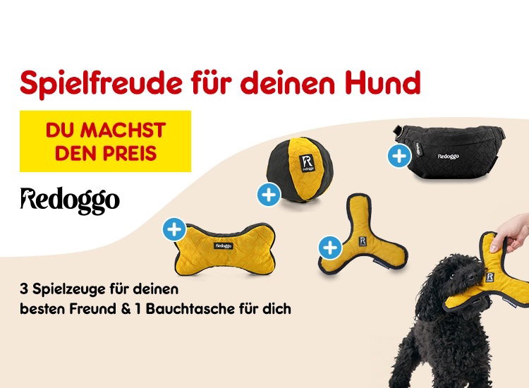 Nachhaltige Spielfreude für deinen Hund
