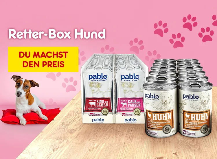 Retter-Box-Hund