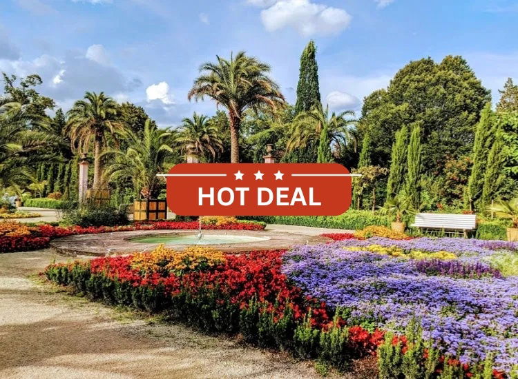 Palmen & Wellness in Bad Pyrmont inkl. Therme | SPECIAL